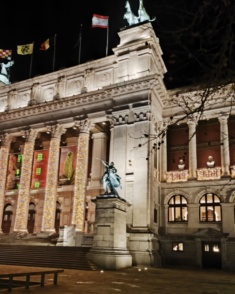 Het Museum van Schone Kunsten in Antwerpen